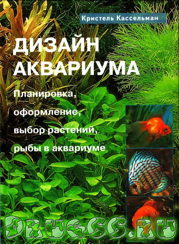Кассельман - Дизайн аквариума. Скачать книгу DJVU 157 стр. 26,6 МБ