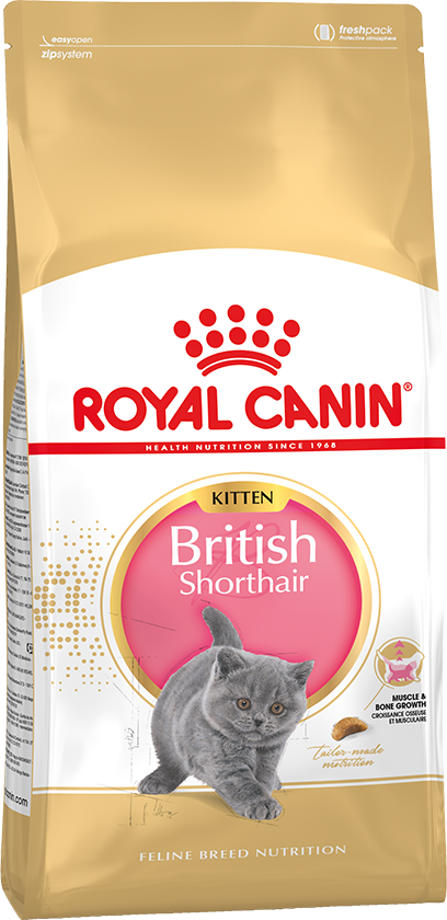ROYAL CANIN BRITISH SHORTHAIR KITTEN