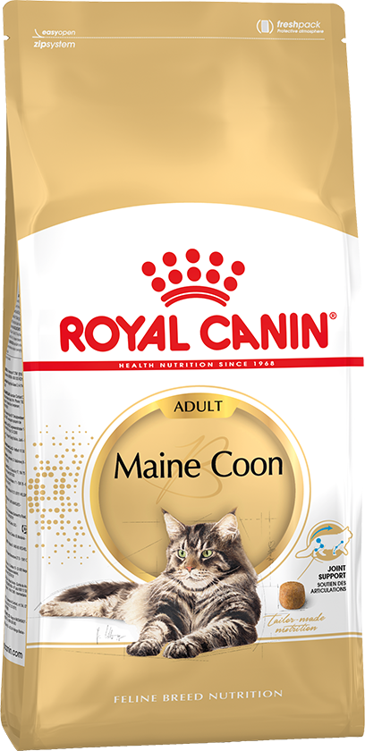 ROYAL CONIN MAINE COON ADULT