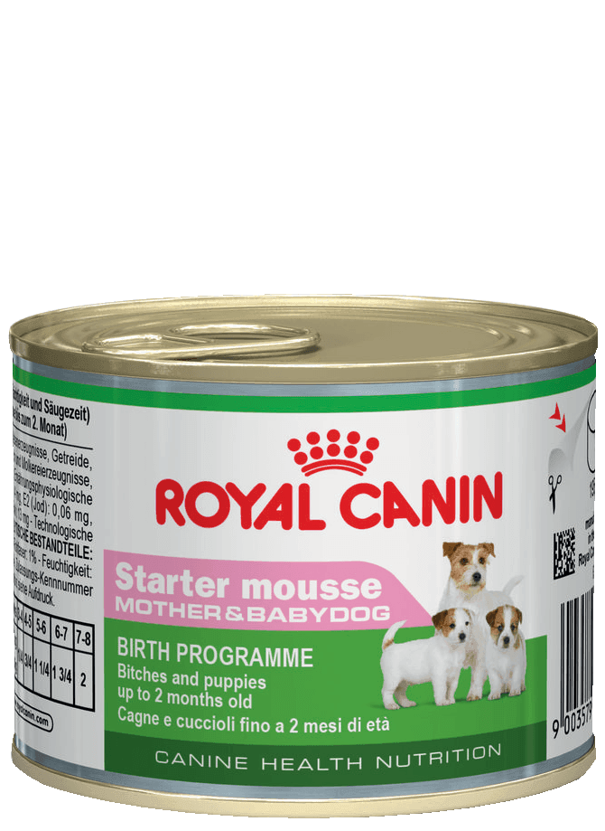 ROYAL-CANIN STARTER MOUSSE